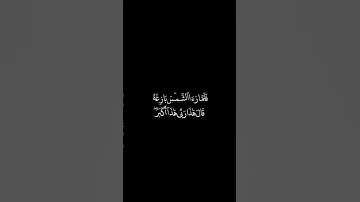 تلاوة جميلة من سورة الأنعام 💎