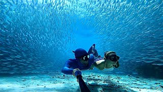 Freediving on Bonaire - into the bait ball with Carlos Coste - Blue Classroom Freediving Center