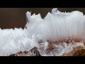 Haareis fotografieren – Quick-Tipp für Winterfotografie