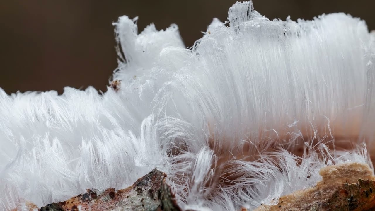 Haareis fotografieren