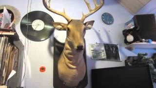 Buck The Singing Deer Sings Golden Years Of Rock 'n Roll