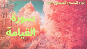 الجزء التاسع والعشرون #٧٥ | سورة القيامة