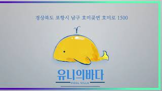 유니의바다풀빌라 영상