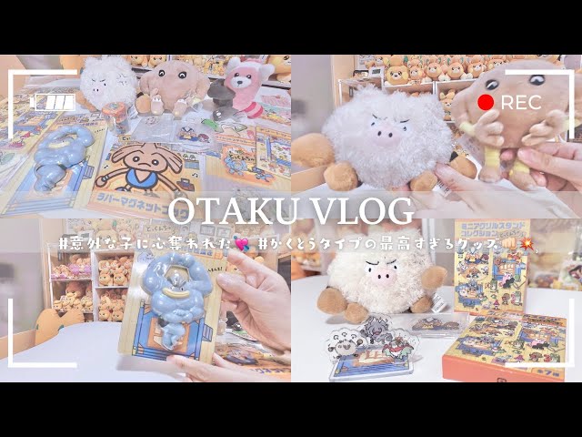 Pokémon】ゆるかわ過ぎる…ᐟ.ᐟ新作「とっくんちゅう」グッズを爆買い