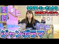 【ラマが大きすぎる！ｗ】フォートナイトのおもちゃが我が家にやってきた！【フィギュア開封】