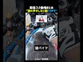 豚からレーザーまで鳴く猫TOP5 🐱🔊