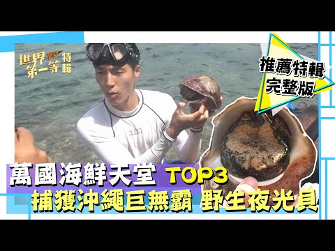 【萬國海鮮天堂】TOP3 加拿大 磚頭大生猛巨蠔／沖繩 野生夜光貝／古巴加勒比海 現撈巨無霸龍蝦｜《世界第一等》精選特輯50集