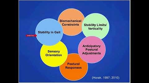 Applying the Constraints Led Approach to Treatment of Balance and Mobili