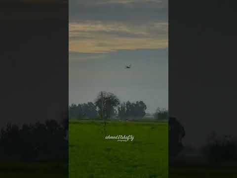 محمود السوهاجي و دطلعت فوق اجبل