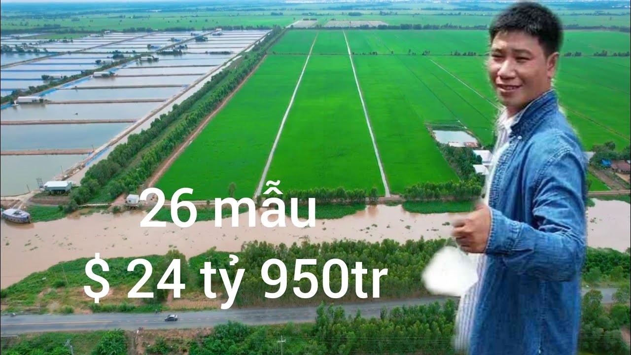 🦅số 069.sale gấp lô đất tx kiến tường Long An diện tích 26 mẫu giá 960tr mẫu