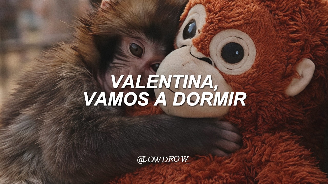 Carla Morrison - Valentina (Letra) || Punch The Monkey