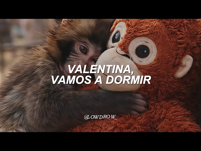 Carla Morrison - Valentina (Letra) || Punch The Monkey