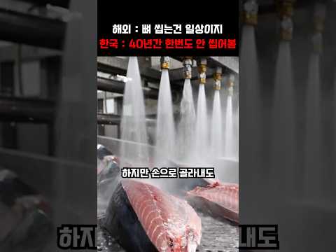 "한국인들은 40년간 참치뼈 한 번 안 씹어봤다고?" 저렴한 깡통 취급 받던 한국 참치캔에 전 세계 28개국이 난리난 이유 thumbnail