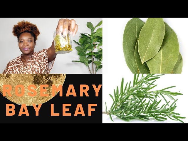 MIX ROSEMARY & BAY LEAF| use this oil for faster hair growth| - YouTube