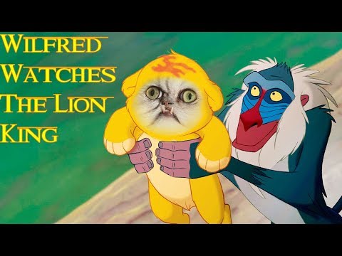 wilfred-watches-the-lion-king!