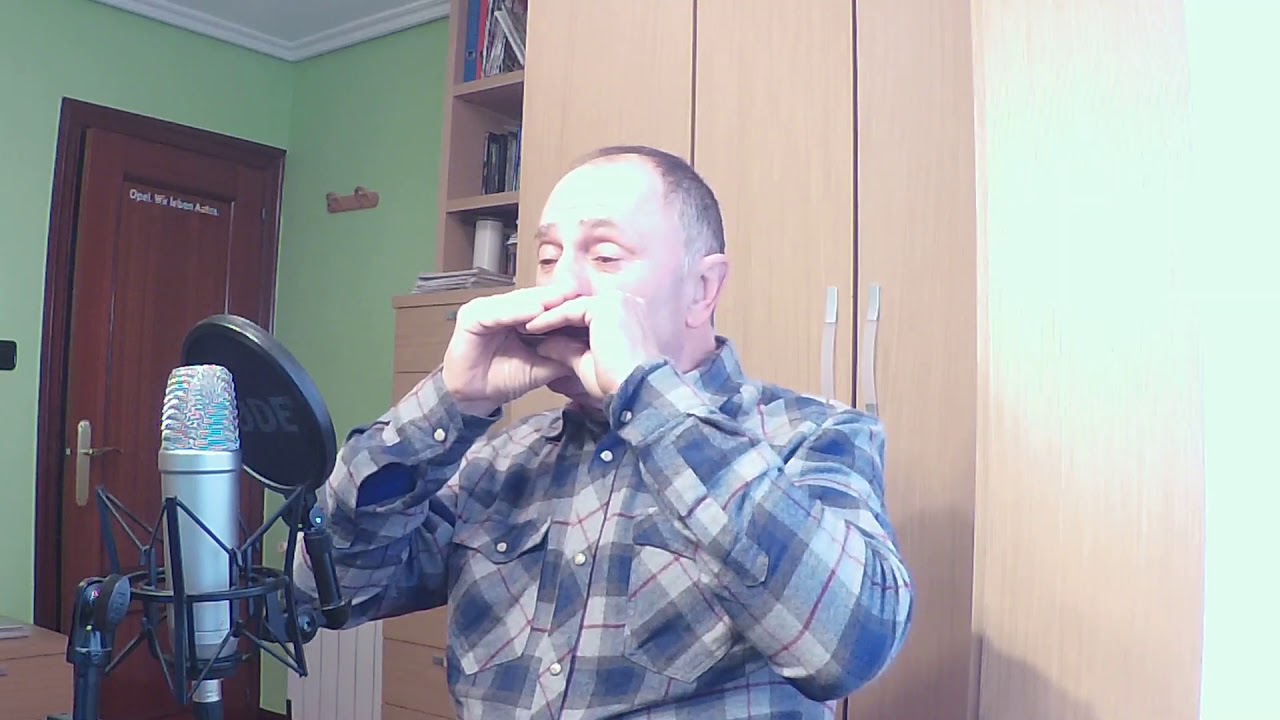 Gabriel's oboe harmonica.The Mission. YouTube