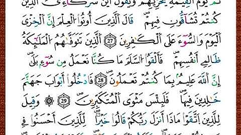 ختمة مصحف التجويد برواية قالون الصفحة رقم 270