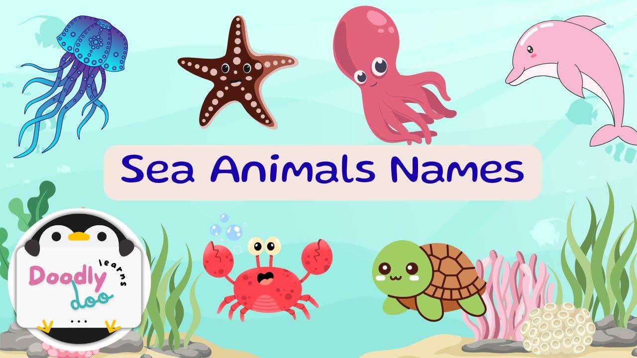 🌊🐠 Learn Sea Animal Names for Kids | Ocean Animals for Toddlers and ...