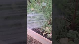 #homestead #asmr #short #fyp #water #watersounds #utah