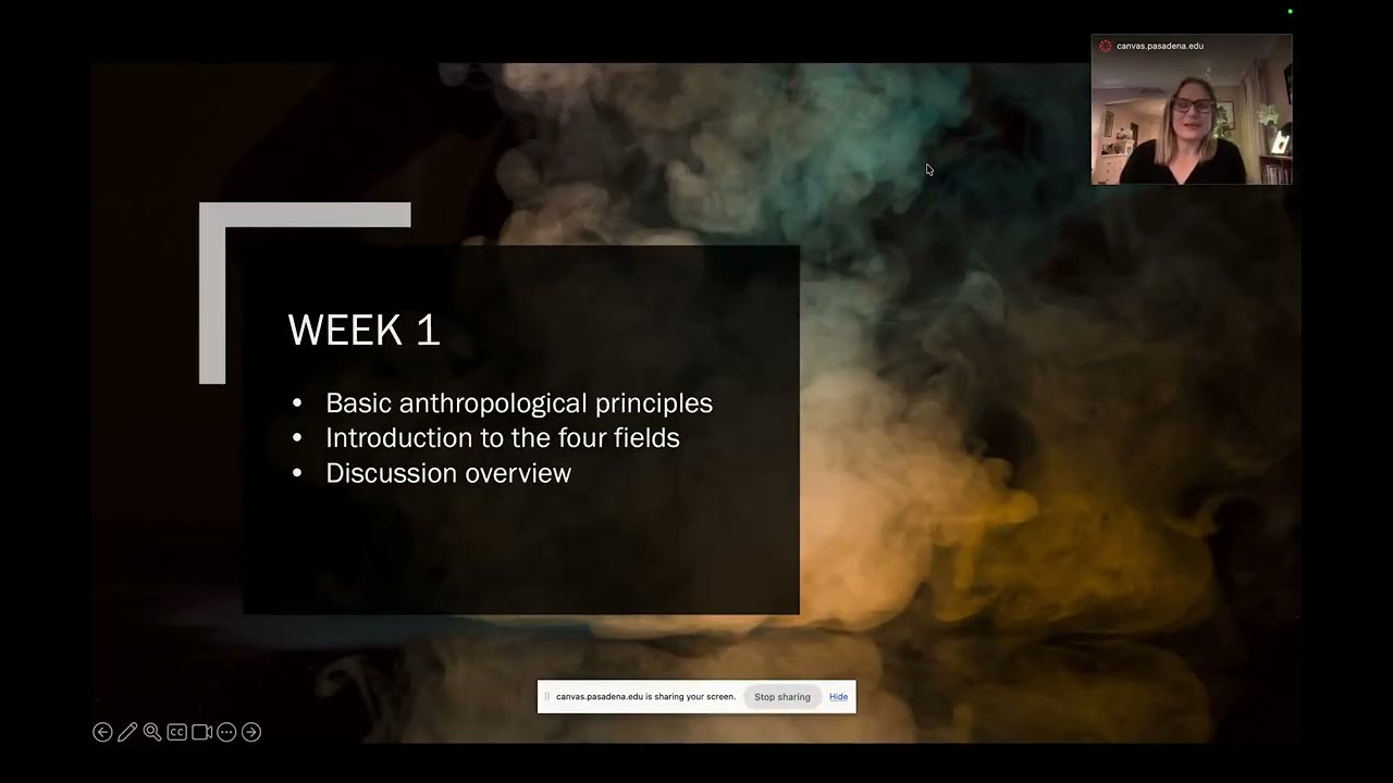 SNHU Week 1 Discussion Overview