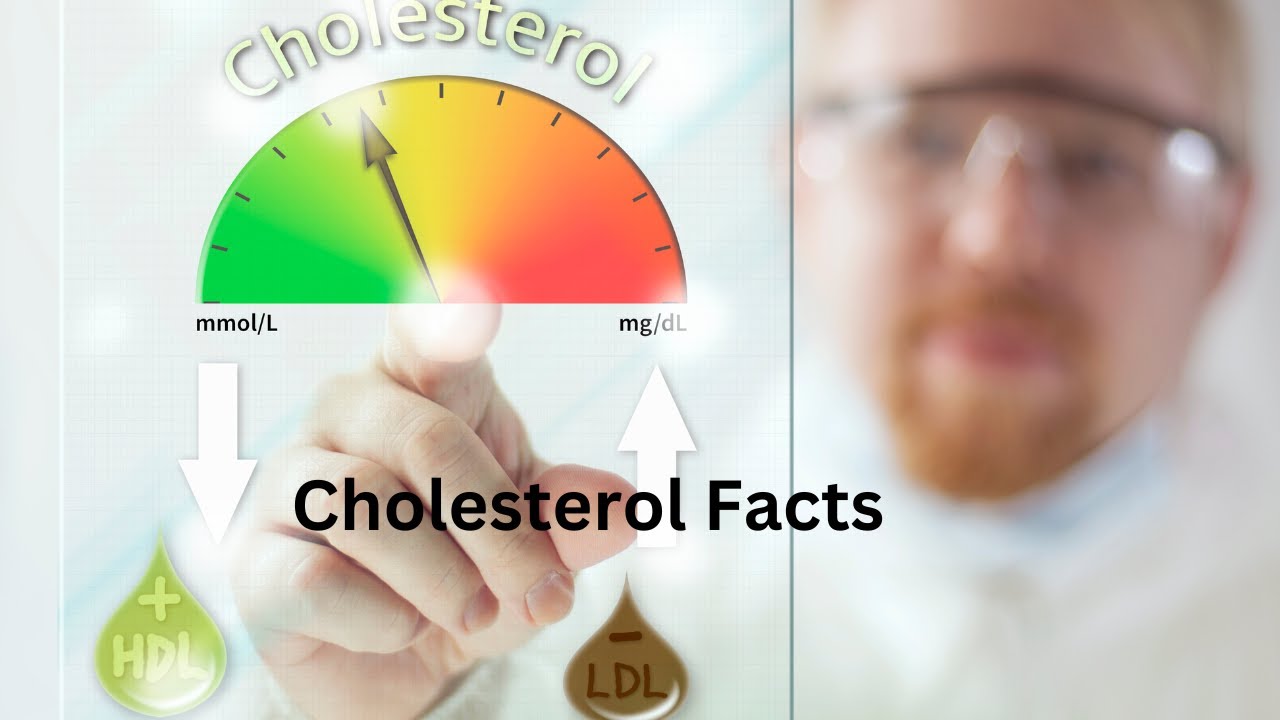 Cholesterol Facts YouTube