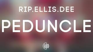 Rip.Ellis.Dee - Peduncle