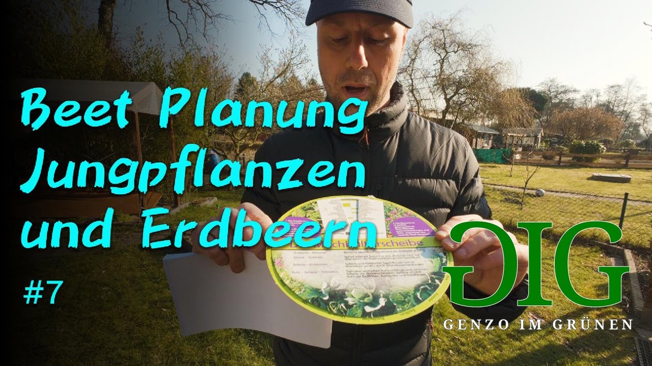 Jungpflanzen Anzucht, Beet Planung und Erdbeeren Pflanzen 😊🍅🌱