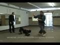 Spontaneous kenpo  aaction kenpo karate of springfield mo