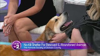 Bart Durham's Big Giveback: The Humane Society of Dickson County