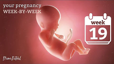 19 Weeks Pregnant - Natural Pregnancy Week-By-Week