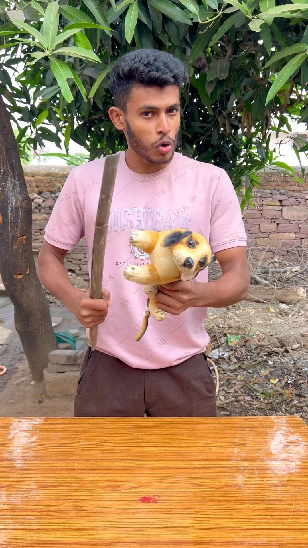CHOTU KA DOGG TIGER #shorts @FACTFIREKING