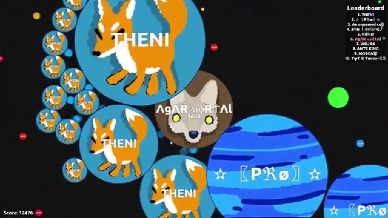 AGAR.IO - EL SERVER DE LOS NOOBS xD / 20K SKIN COYOTE #1 - YouTube
