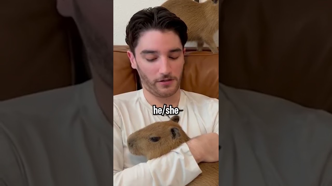 Do CAPYBARAS Have PRONOUNS?