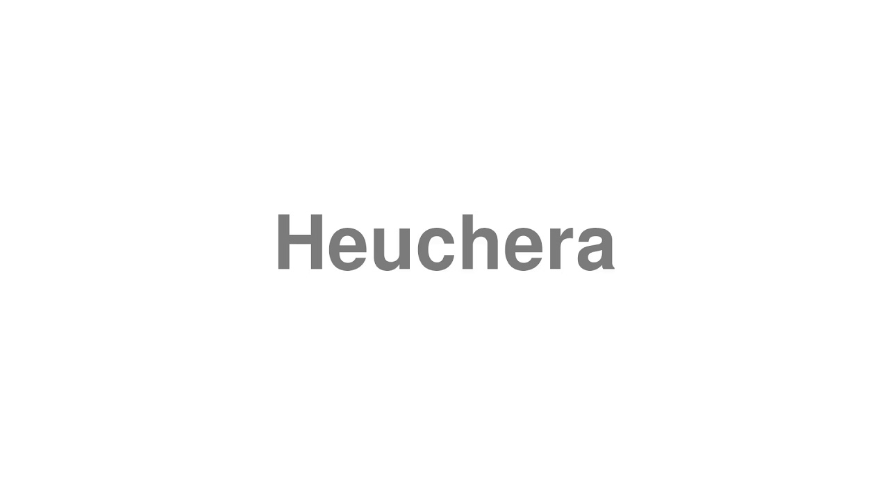 How to Pronounce "Heuchera"