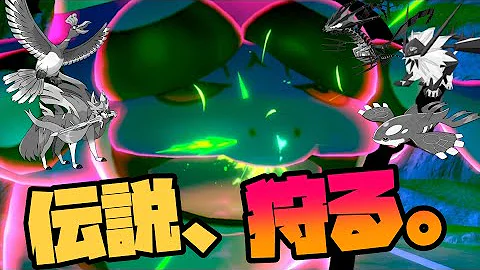 ザシアン カイオーガ対策