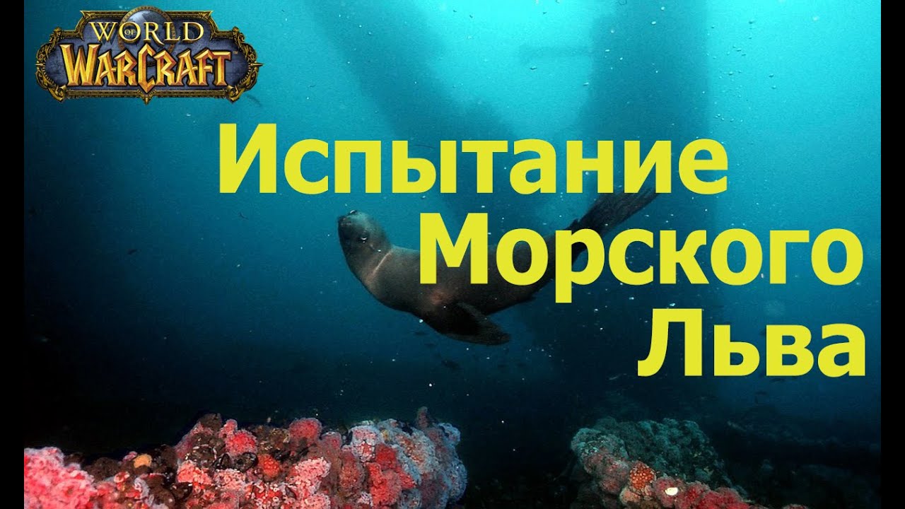 world of warcraft прохождение квеста Trial of the Sea Lion / Испытание