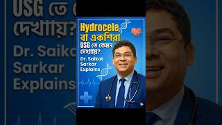 আল্ট্রাসাউন্ডে হাইড্রোসিল (Hydrocele) দেখতে কেমন লাগে? Testicular USG Explained by Dr. Saikat Sarkar