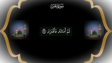 سورة( عبس  )بصوت القارئ ميثم التمار تلاوه  عراقيه هادئه 