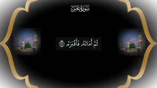 سورة( عبس  )بصوت القارئ ميثم التمار تلاوه  عراقيه هادئه 