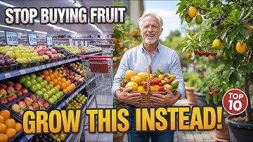Top 10 Fruit Trees That Thrive in Pots and Small Spaces - Grow Your Own Food at Home!