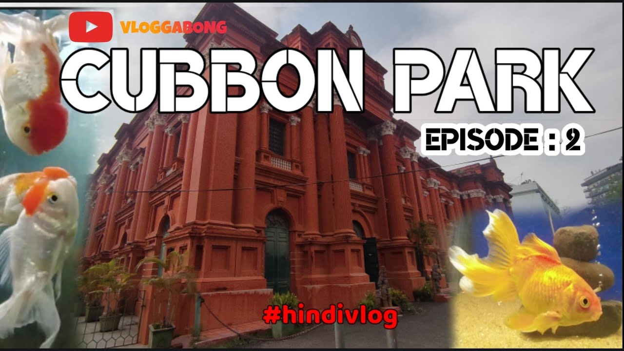 CUBBON PARK | Ep : 2 | M Visvesvaraya Industrial Museum| Govt Aquarium | Govt Museum | Hindivlog