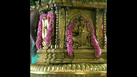Arunachaleswarar🔱 Karthigai Deepam🔥 Brahmotsavam Day1 Flag Hosting 🚩 கார்த்திகை தீபம்🔥 கொடியேற்றம்🚩