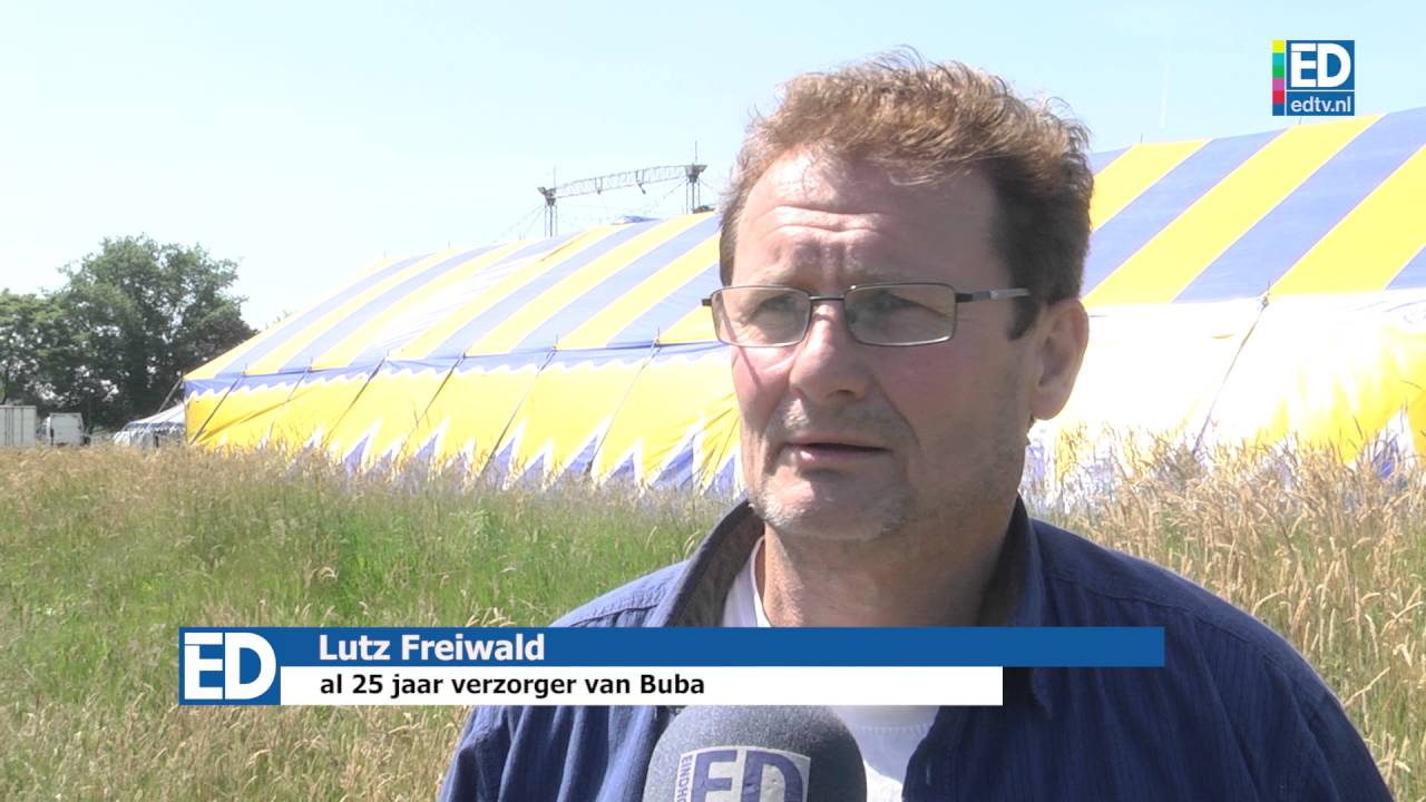 Olifant Buba ondanks kamervragen mee naar Eersel