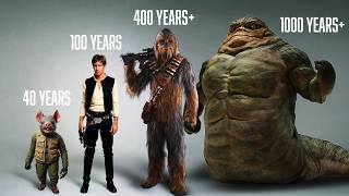 How Your Lifespan Changes Perspective