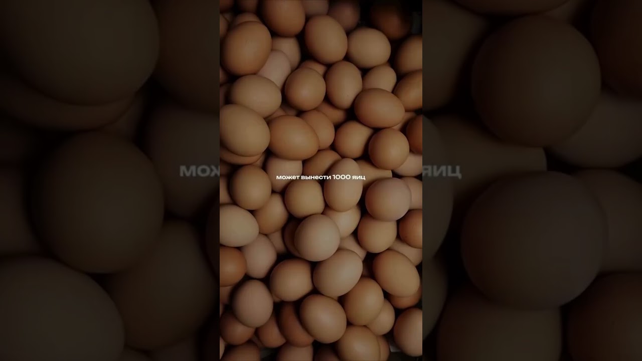 Продажа недвижимости в Иваново