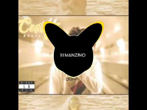 Delil C Est La Vie DJ Manzino REMIX