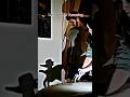 Other Doing Shadow Art Vs The Last One ☠️ | #trollface #edit #troll #fyp #usa #shortsfeed #viral