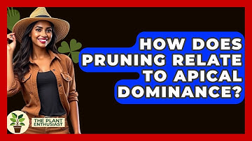 How Does Pruning Relate To Apical Dominance? - The Plant Enthusiast