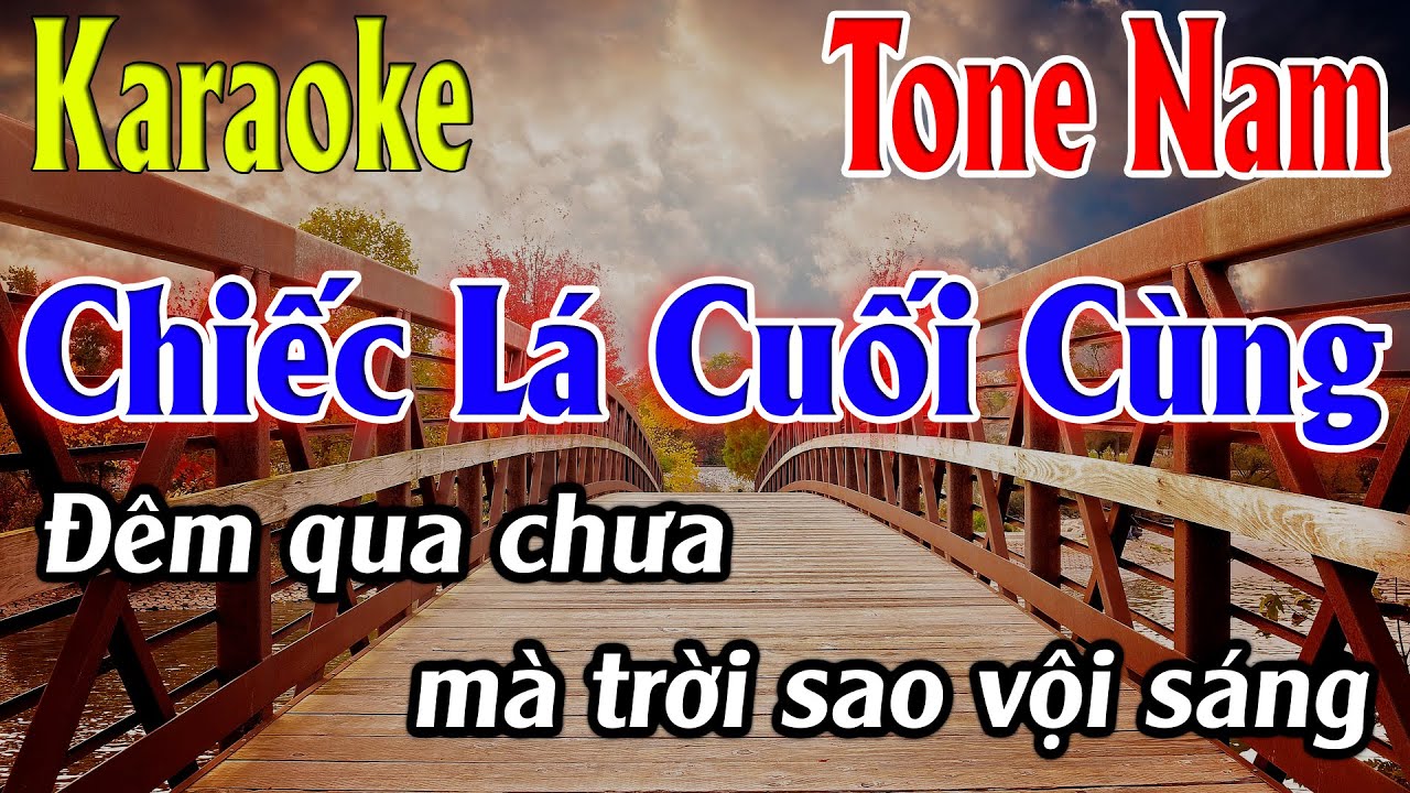 Chiếc Lá Cuối Cùng Karaoke Tone Nam ( Am ) Karaoke Lâm Organ - Beat Mới