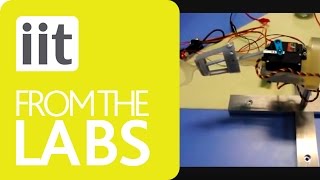 Robotics - 2DOF fish tail